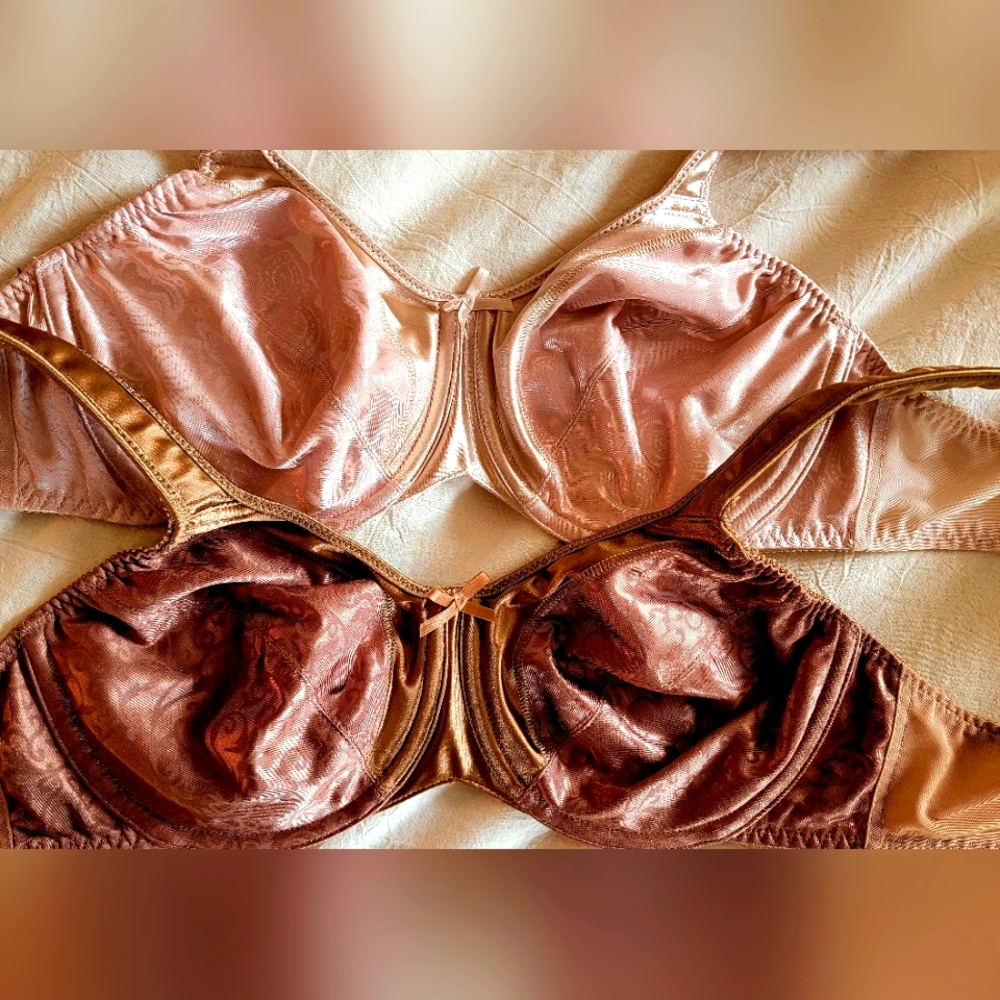 Bali minimizer bra bundle 34C